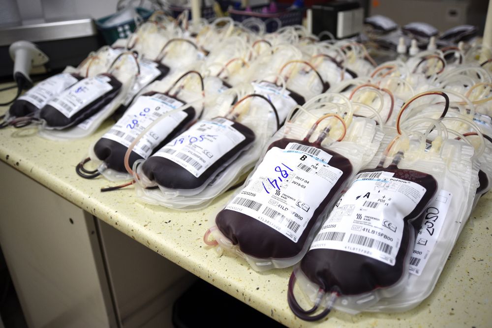 Bolsas con plasma en un banco de sangre.