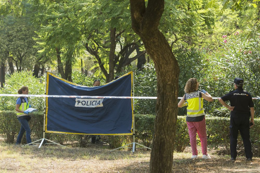 Agentes de Policía Científica y Homicidios de la Policía Nacional inspeccionan el lugar del Parque Amate.