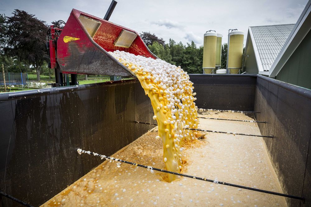 Vista de una máquina que transporta los huevos contaminados para desecharlos en una granja avícola de Onstwedde (Holanda).