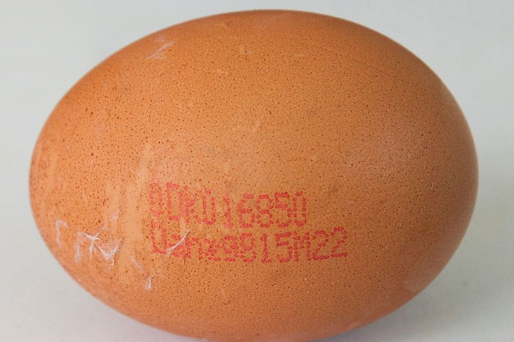 Un huevo de origen dánes contaminado con el insecticida fipronil.