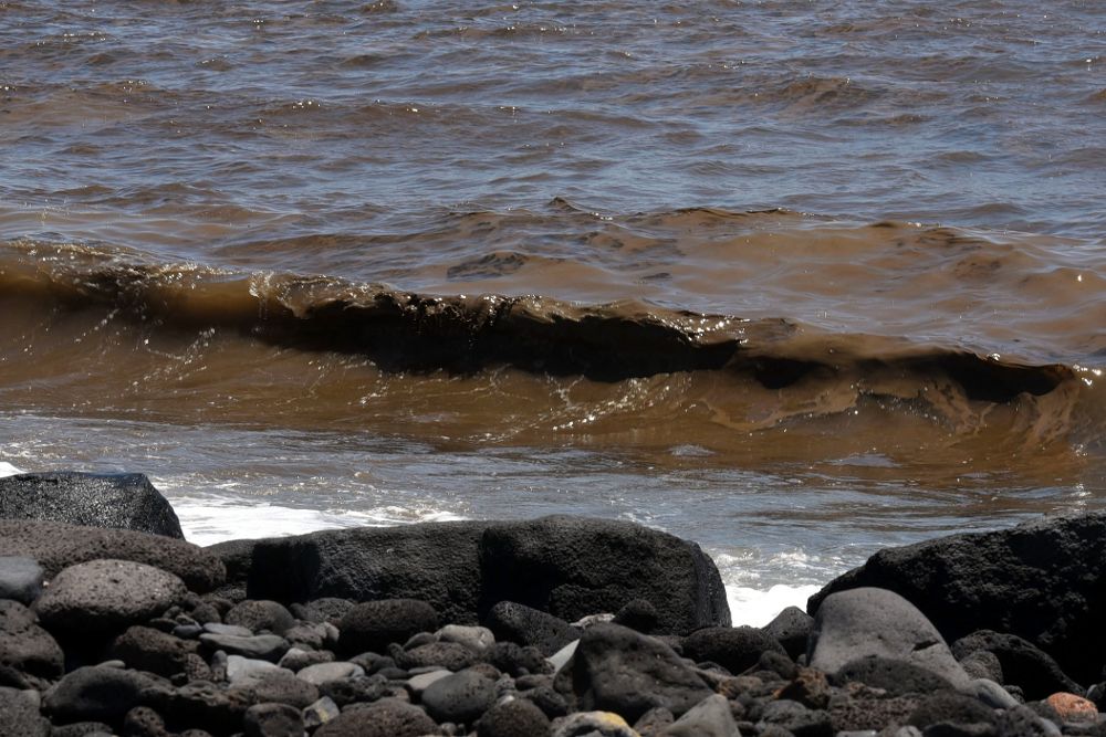 Manchas fotografíadas hace diez días en la playa del Parque Marítimo de Santa Cruz.