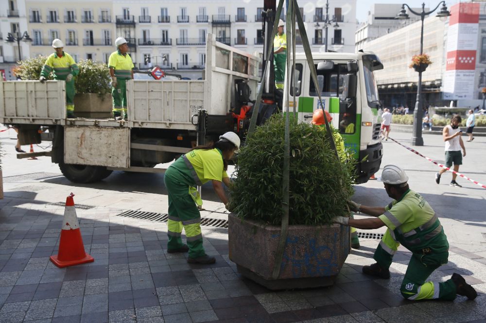 Operarios del Ayuntamiento de Madrid colocan jardineras ayer, en la Calle de Montera.