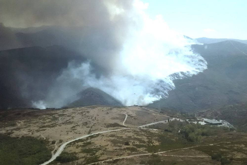 Incendio forestal declarado en el municipal de Encinedo (León).