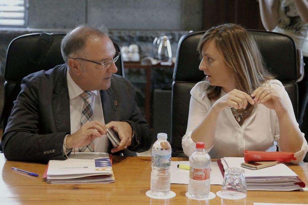 Los consejeros de Sanidad, José Manuel Baltar, y de Medio Ambiente, Nieves Lady Barreto, conversan antes de comenzar la reunión del Consejo de Gobierno de Canarias.