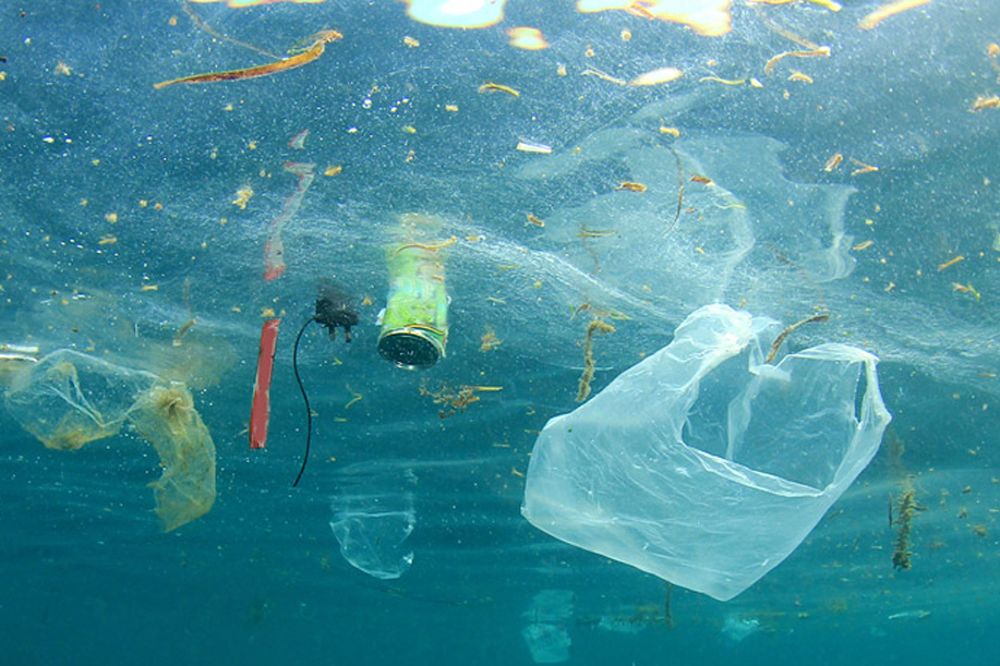 Los plásticos y las latas son visibles en muchas partes de los océanos.