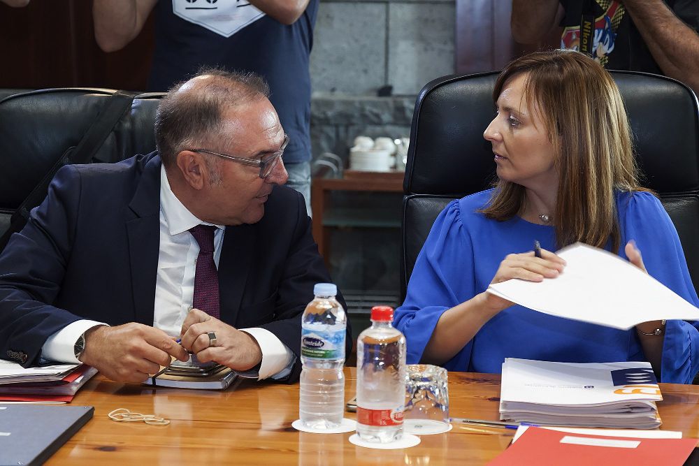 El consejero de Sanidad, José Manuel Baltar (i), conversa con la consejera de Política Territorial, Sostenibilidad y Seguridad del Gobierno de Canarias, Nieves Lady Barreto.