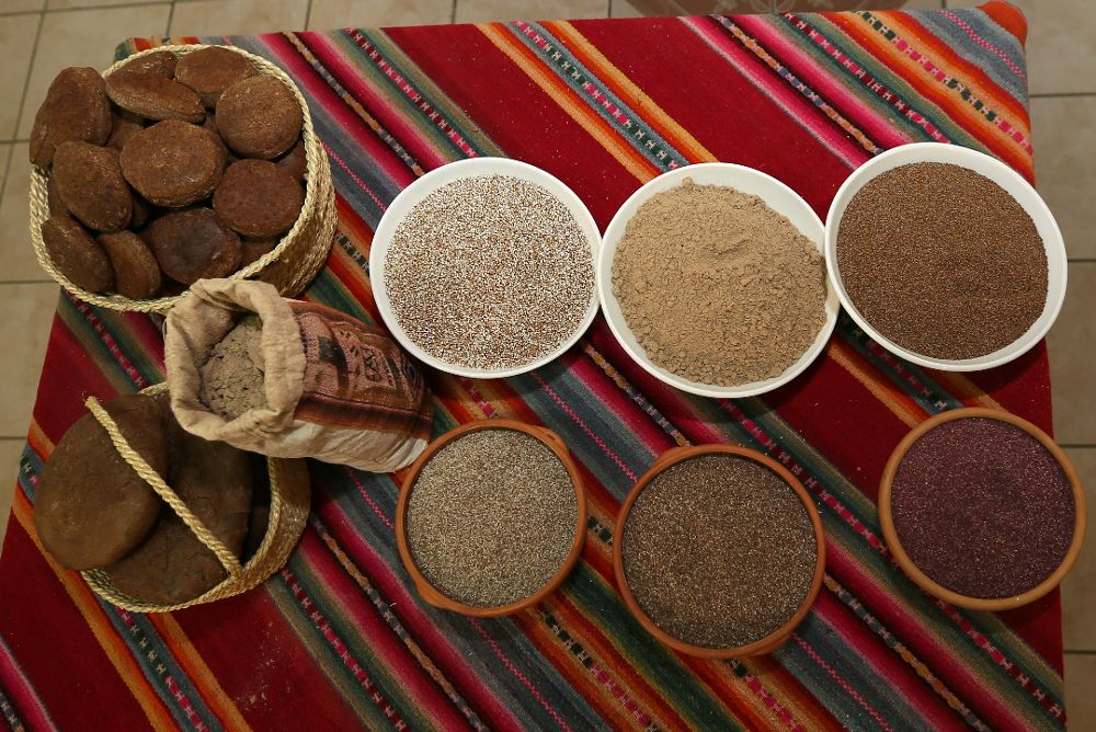 La cañahua, el nuevo grano de oro que Bolivia ofrece al mundo - El Día -  Hemeroteca 16-09-2017