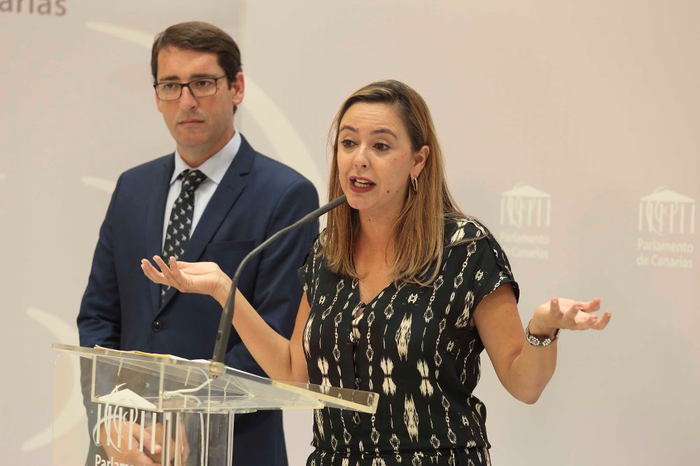 María Dolores Corujo, nueva portavoz parlamentaria del PSOE, con su predecesor, Iñaki Lavandera.