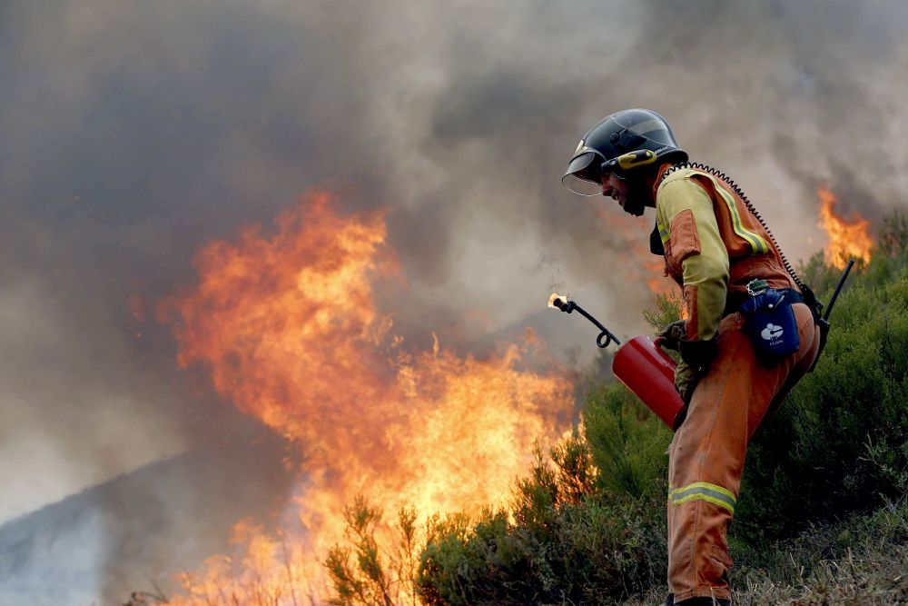 Un bombero realiza un cortafuegos en las inmediaciones de la Reserva de la Biosfera de Muniellos, considerado como el robledal mayor y mejor conservado de España.
