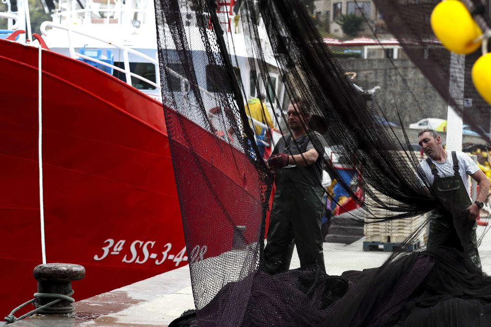 La tripulación de un barco pesquero de bajura limpia las redes en el puerto guipuzcoano de Getaria.