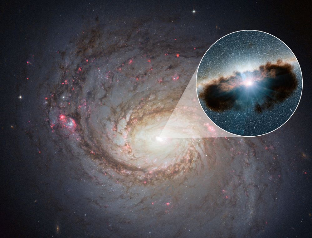 Imagen de la galaxia activa NGC 1068 en primer plano, observada con el Telescopio Espacial Hubble. Este agujero negro activo es uno de los más oscurecidos que se conocen, ya que está rodeado de nubes extremadamente densas de gas y polvo -la ilustración que aparece en el recuadro ampliado-, las cuales estudiamos haciendo uso de observaciones infrarrojas y de rayos-X. NASAJPL-Caltech 