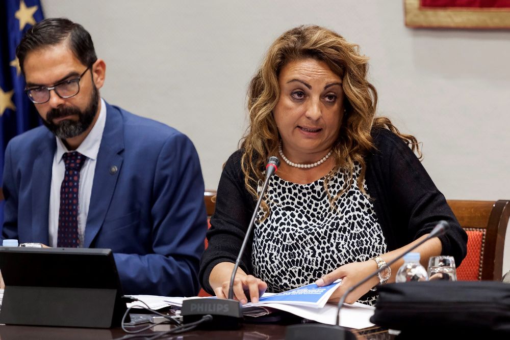 La consejera de Empleo, Políticas Sociales y Vivienda del Gobierno de Canarias, Cristina Valido.