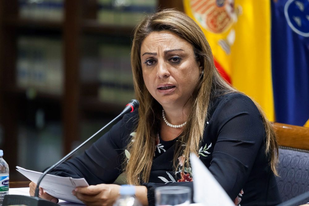 La consejera de Empleo, Políticas Sociales y Vivienda del Gobierno de Canarias, Cristina Valido, informando hoy en comisión parlamentaria.