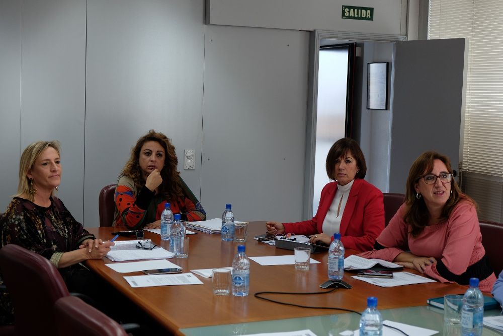 La consejera Cristina Valido (2ª iz) en la presentación de los datos del plan.