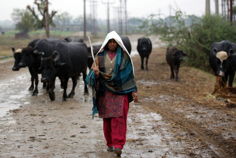 Una mujer en Jammu, la capital de invierno de la Cachemira (India).