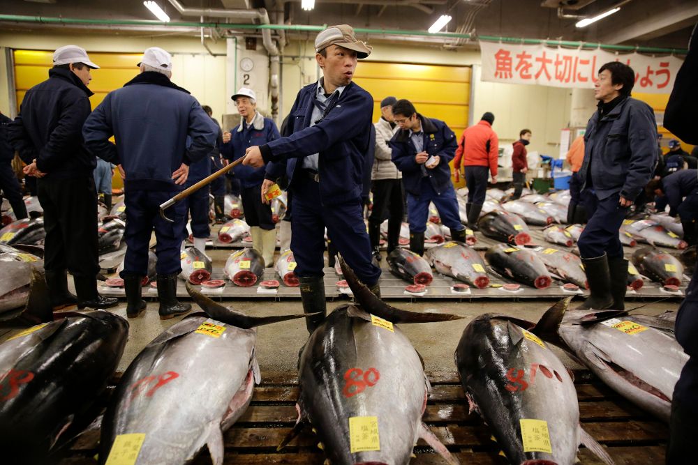 Corredores del mercado de atún.