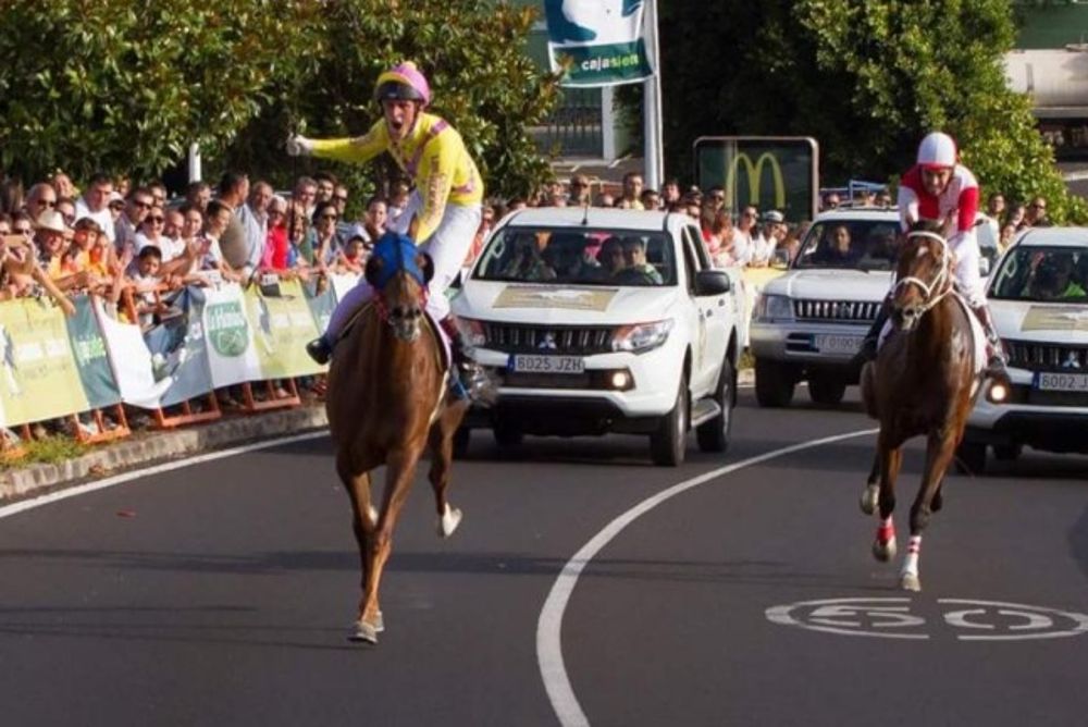 La Palma Ecuestre, una liga de carreras de caballos, es la nueva apuesta de Sodepal.