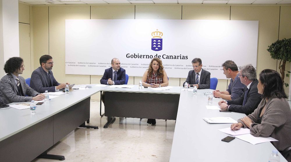 La consejera de Empleo del Gobierno de Canarias, Cristina Valido (c), y el director territorial de la Inspección de Trabajo y Seguridad Social de Canarias, Francisco Guindín (3º i), presentaron hoy el balance.