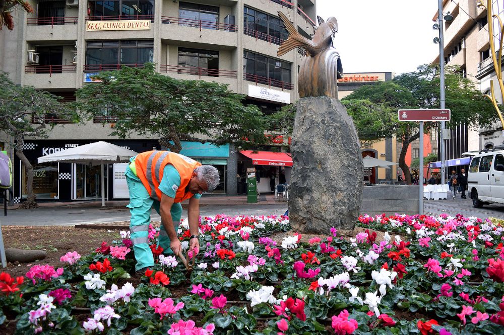 Un operario municipal repone las flores de la plaza del Chicharro.