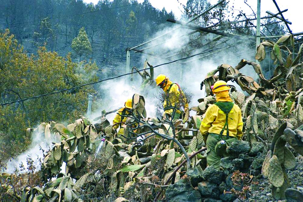 Agricultura modifica el plazo de justificación de las obras por lo daños del incendio forestal de 2016 para que las ayudas lleguen a los afectados.