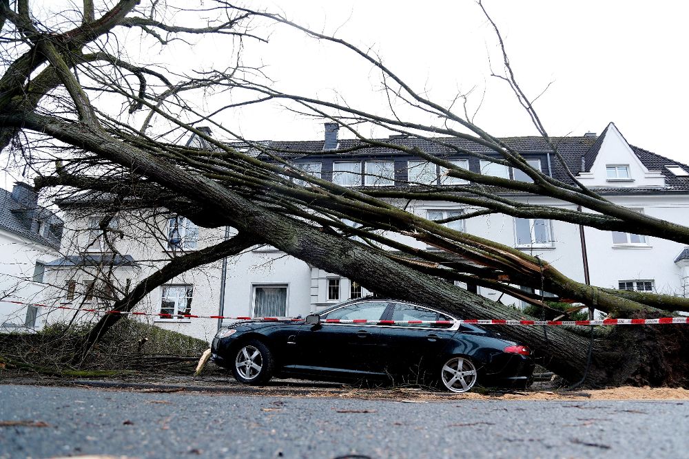 Un árbol caído sobre un coche en Dortmund (Alemania).