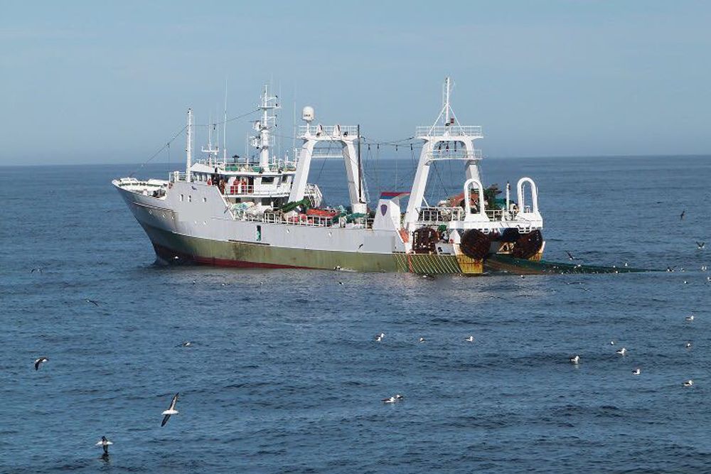 Fotografía cedida por el Ministerio de Seguridad de Argentina del buque "Playa Pesmar Uno", de 63 metros de eslora y 12,50 de manga, que llevaba 34 tripulantes a bordo en el momento de ser apresado.