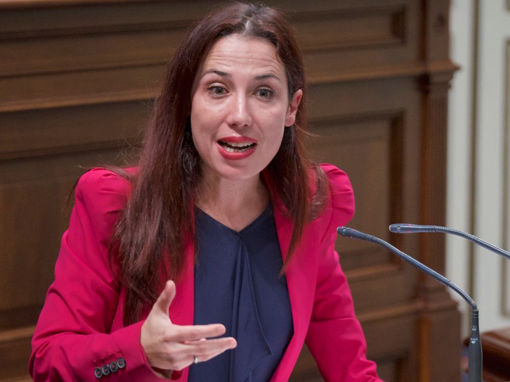 Patricia Hernández en una intervención parlamentaria.