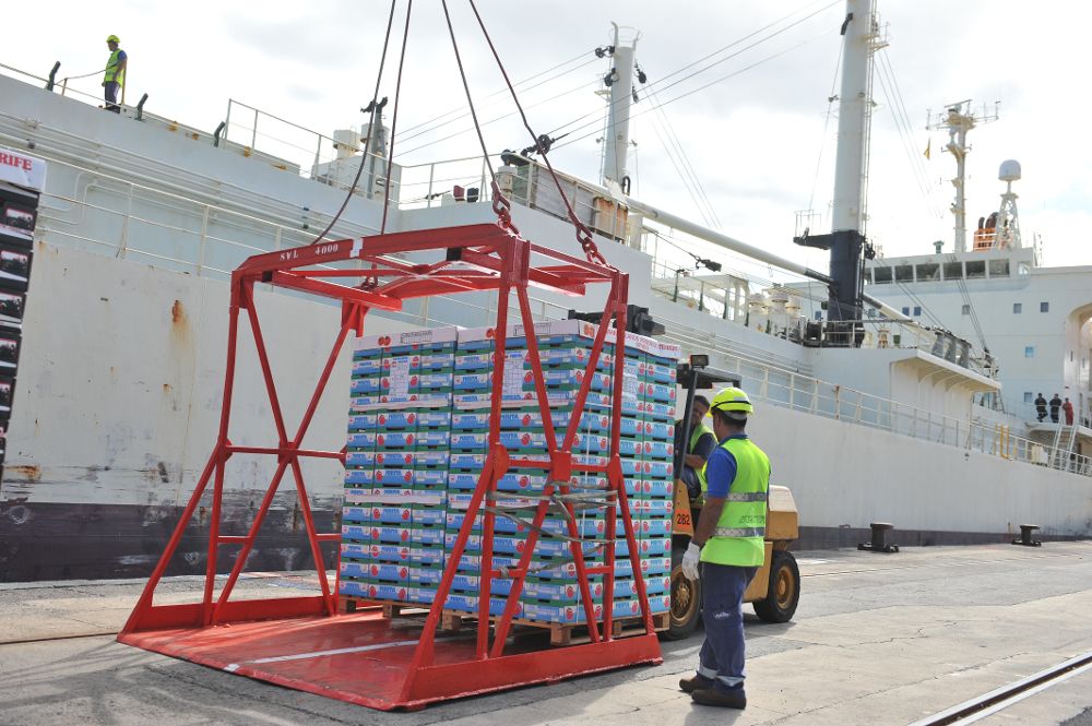 Embarque de tomates para la exportación en el puerto de Santa Cruz de Tenerife.