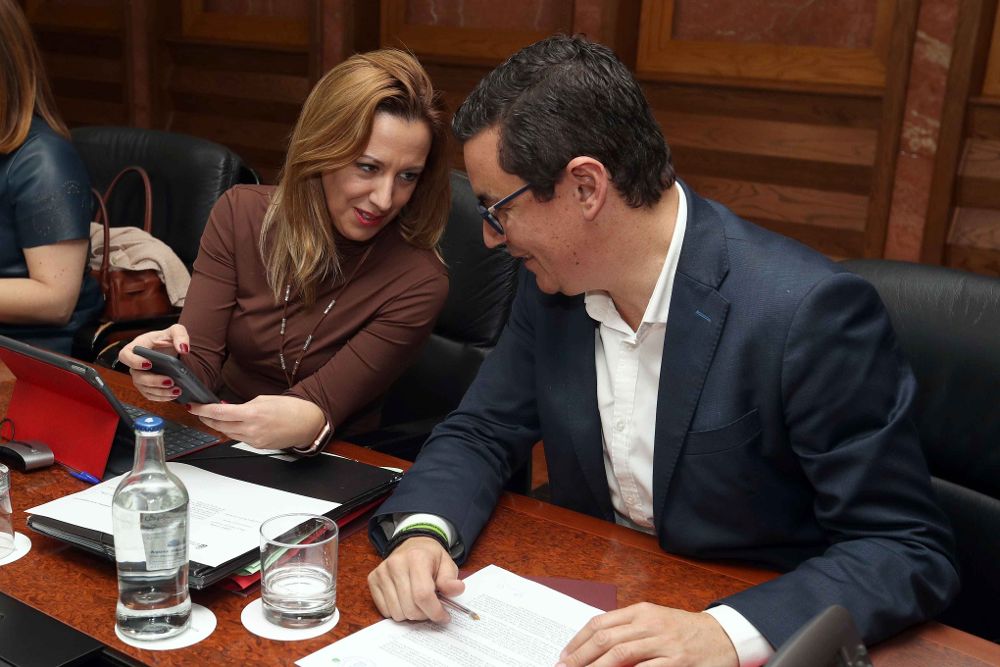 El vicepresidente del Gobierno de Canarias, Pablo Rodríguez (d), y la consejera de Hacienda, Rosa Dávila.