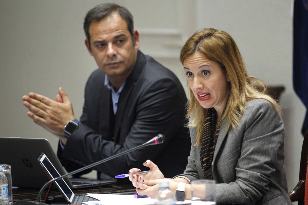 La consejera de Hacienda del Gobierno de Canarias, Rosa Dávila, compareció hoy en comisión parlamentaria .
