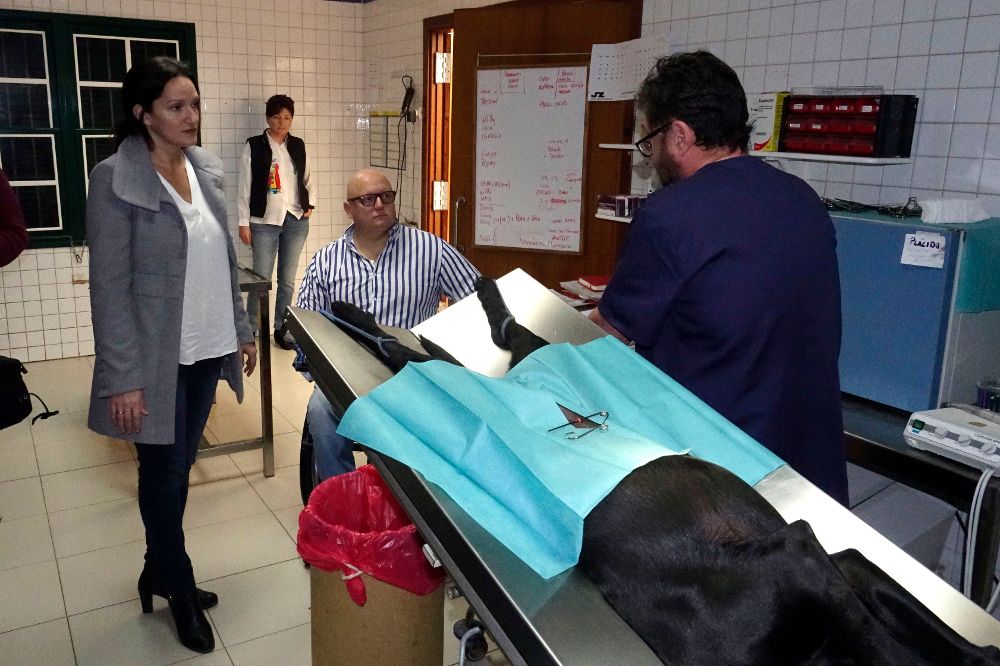 Un veterinario prepara una operación de esterilización en presencia de Zaida González y Carlos Correa.