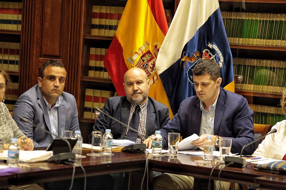 Representantes de los colectivos afectados, ayer, en el Parlamento canario. En el centro, Luis Cayo Pérez, presidente del Comité Español de Representantes de Personas con Discapacidad (CERMI).