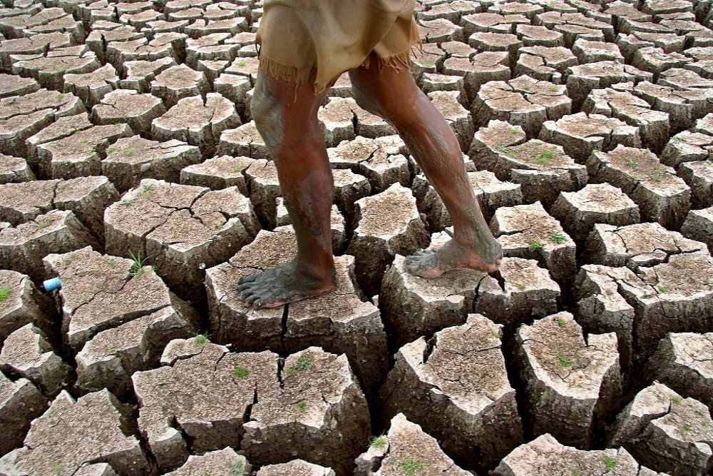 Padecer sequía en los cultivos es una de las causas para acogerse a la reducción.