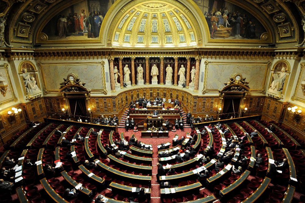 Vista general del Senado francés durante la votación de un proyecto de ley.