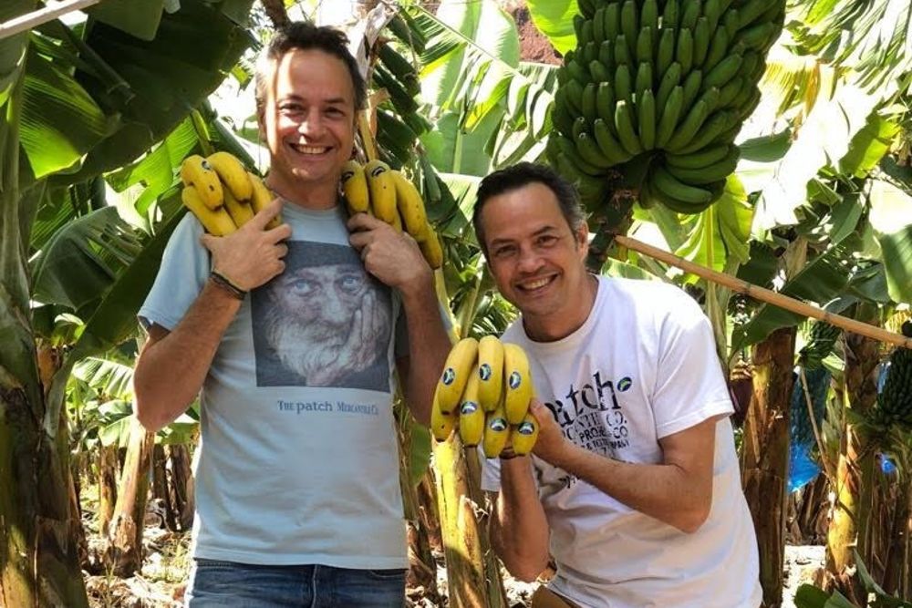 Los cocineros Sergio y Javier Torres han visitado este martes una finca de plataneras en el norte de Tenerife con el objetivo de conocer de primera mano el cultivo del plátano, destacando su "gran potencial" para la cocina.