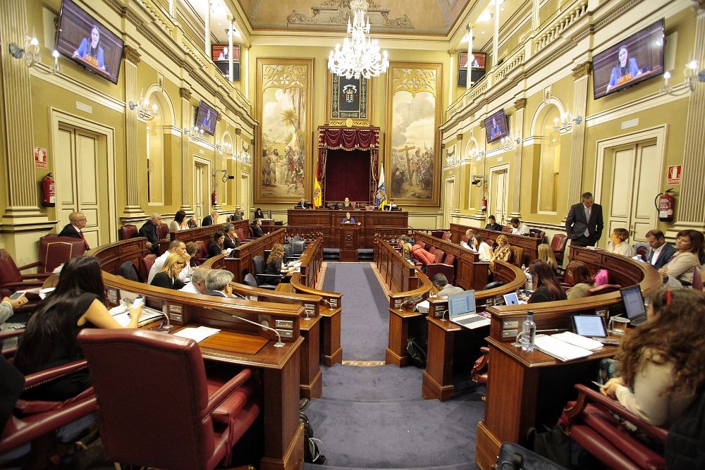 Los grupos parlamentarios analizaron la evolución de los casos de violencia de género en el archipiélago.