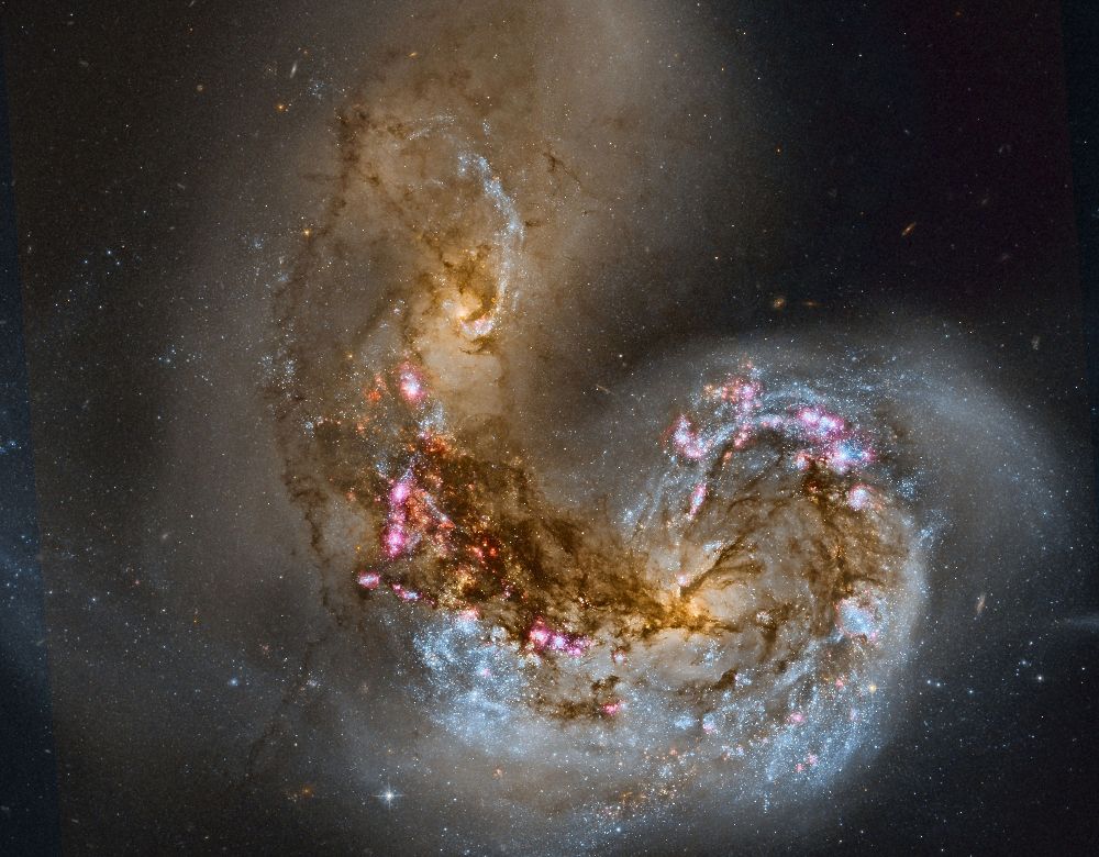 La NASA ha vuelto a elegir como imagen del día una instantánea procesada por el profesor y aficionado a la astronomía Domingo Pestana, en la que se observa la galaxia espiral NGC 4038 en colisión con otra galaxia, la NGC 4039. 