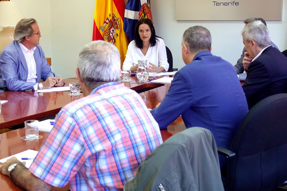 La primera teniente de alcalde y concejal de Movilidad del Ayuntamiento de Santa Cruz de Tenerife, Zaida González.