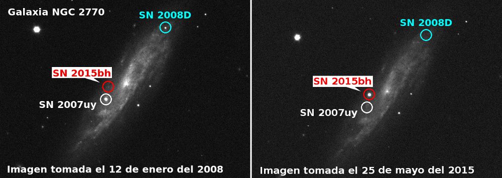 Imagen de la galaxia NGC 2770 observada en el filtro R (rojo) desde el Telescopio Óptico Nórdico, de 2,5 m de diámetro, del Observatorio del Roque de los Muchachos (La Palma). En la imagen de 2008 aparecen dos supernovas, SN 2007uy y SN 2008D, que ya no se ven en 2015. En cambio, en el año 2015 fue descubierta una nueva supernova, SN 2015bh, en la misma galaxia. Nancy Elías de la Rosa 