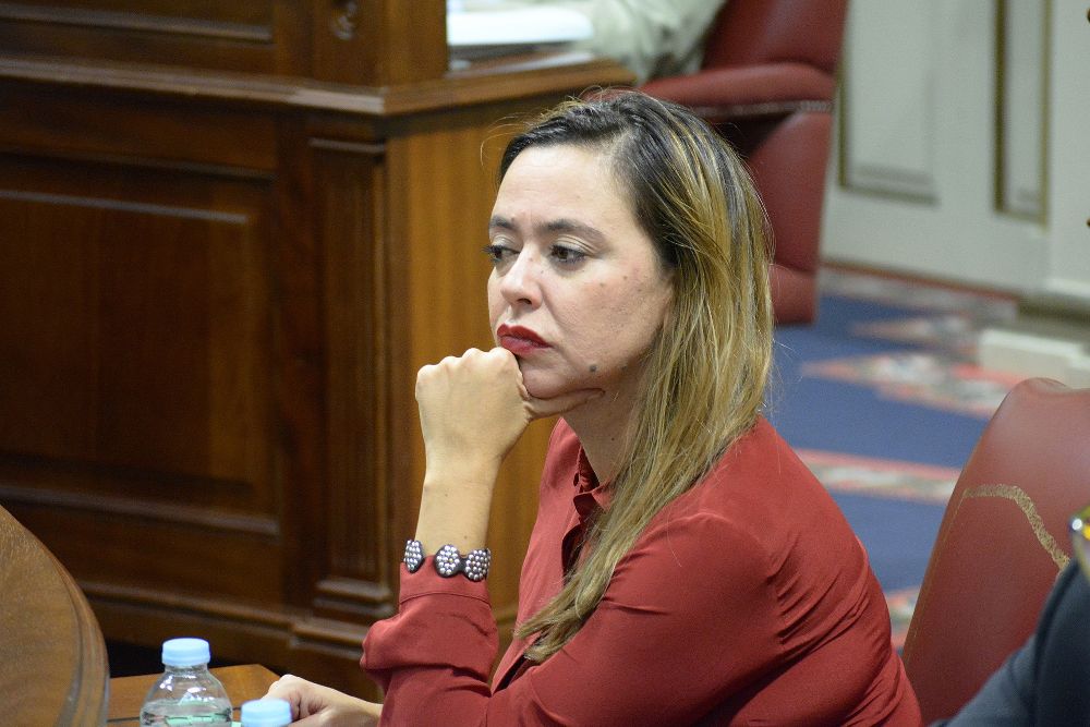 María Dolores Corujo en el Parlamento canario.