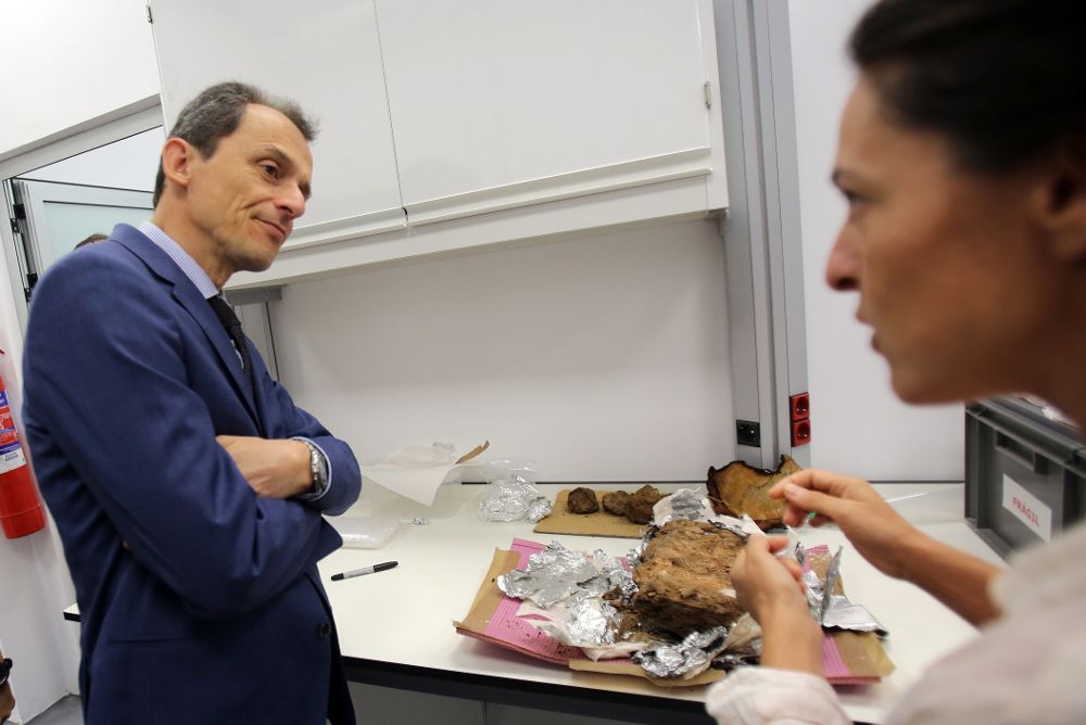 El ministro de Ciencia, Innovación y Universidades, Pedro Duque, atiende a las explicaciones de la investigadora Carolina Mallol, durante su visita al Instituto de Biorgánica Antonio González, en La Laguna. 