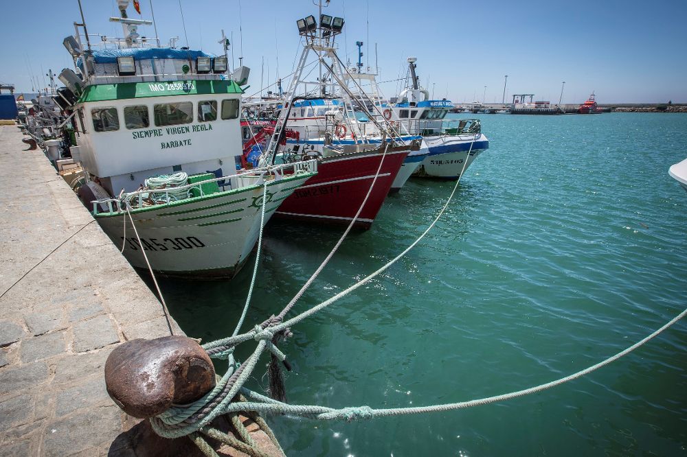 Pesqueros amarrados en el puerto de Barbate (Cádiz) al haber expirado el protocolo de pesca firmado entre Marruecos y la Unión Europea.