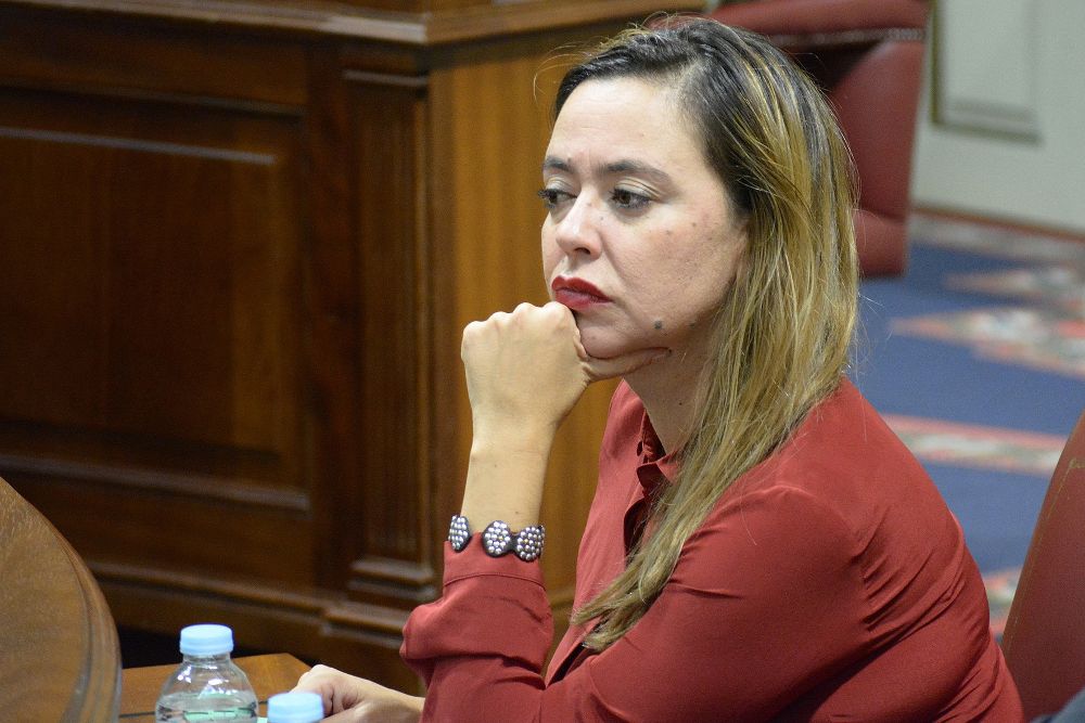 La portavoz del Grupo Parlamentario Socialista, Dolores Corujo.