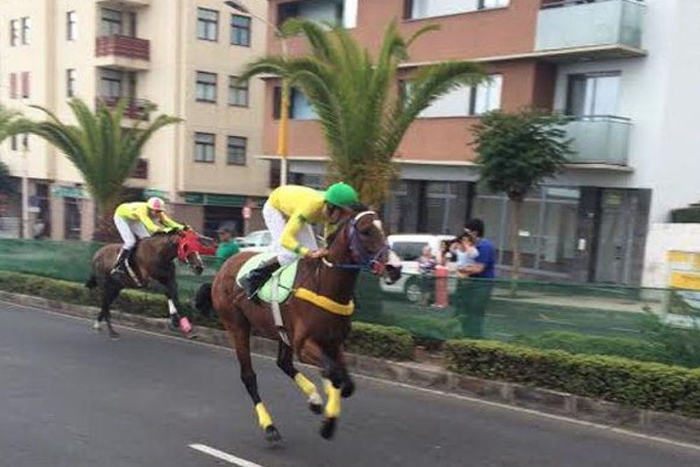 Una imagen de una carrera de caballos en Los Llanos de Aridane.