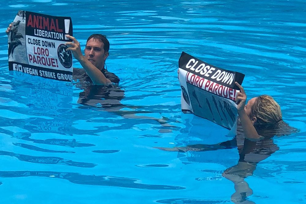 Dos de los activistas en la piscina de los delfines tras interrumpir el espectáculo.