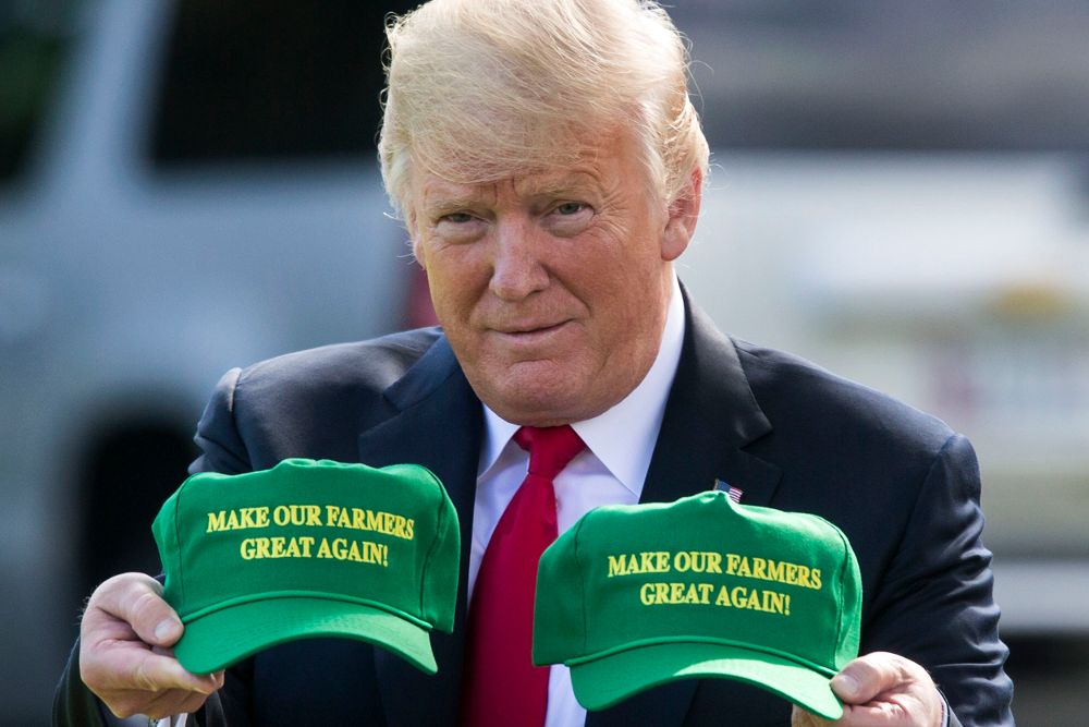 Donald J. Trump sostiene dos gorras en las que se lee "¡Haz que nuestros granjeros vuelvan a ser grandiosos!" mientras cruza el jardín de la Casa Blanca.