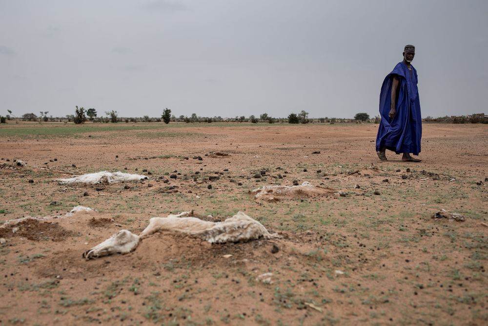 Sequía en Senegal.