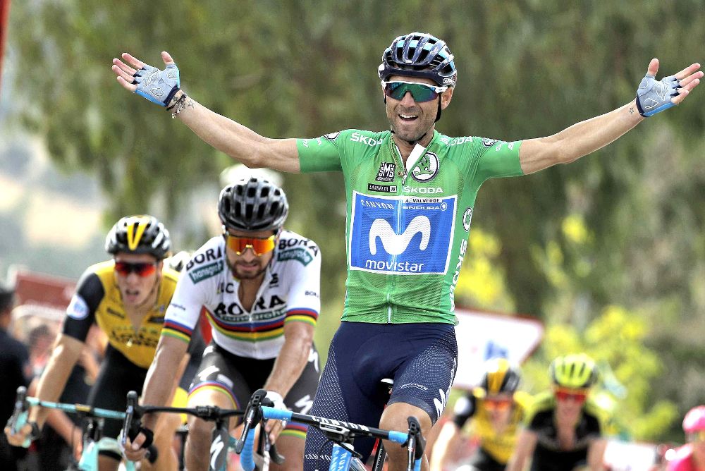 El español Alejandro Valverde (Movistar) se ha impuesto en la octava etapa de la Vuelta disputada entre Linares y Almadén.