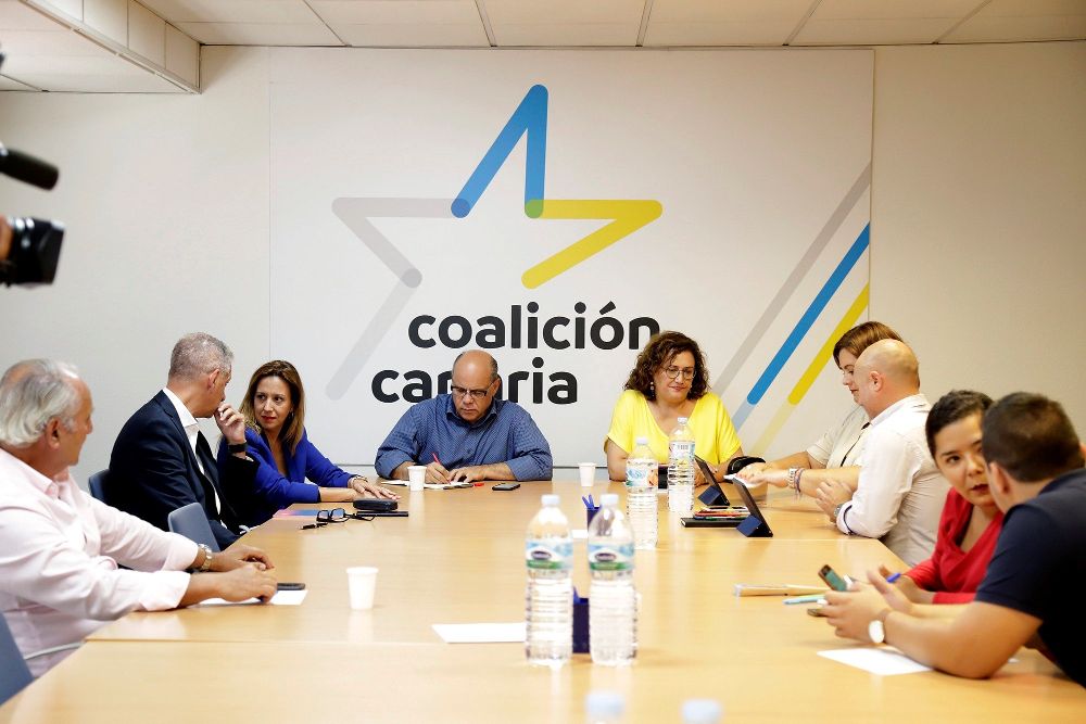 El secretario de organización de Coalición Canaria, José Miguel Barragán (4i), y Guadalupe González, a su izquierda, durante la reunión del comité permanente de Coalición Canaria.