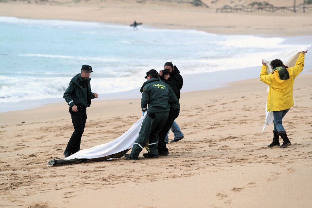 El cadáver de otro inmigrante que ha sido hallado en las últimas horas en la playa de los Caños de Meca (Cádiz) perteneciente al naufragio de una patera el pasado lunes en esta zona.